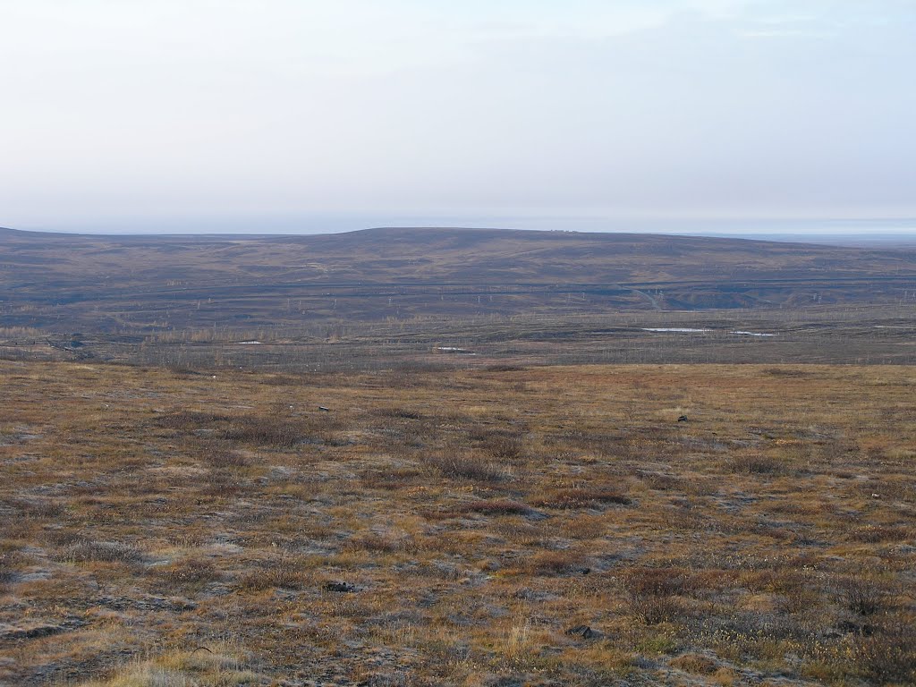 Arctic tundra at end of summer
